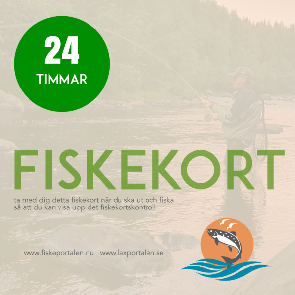 Sikfors: Fiskekort 24-timmar Sjöar (dygn)